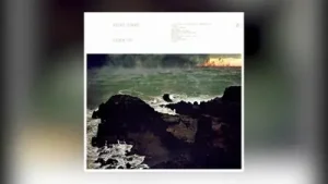 Fleet Foxes – On Another Ocean (January / June)