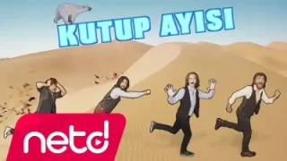 Flört Kutup Ayısı