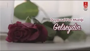 Fon Müzikleri Gelseydin Albüm Kapağı