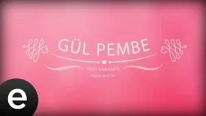 Fon Müzikleri Gül Pembe Albüm Kapağı