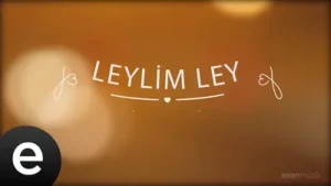 Fon Müzikleri Leylim Ley Albüm Kapağı
