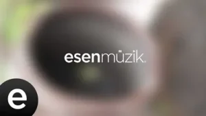 Fon Müzikleri Telli Telli Albüm Kapağı