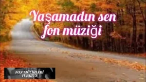 Fon Müzikleri Yaşamadın Sen Albüm Kapağı