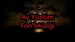 Fon Müzikleri Yedi Karanfil Ay Yüzlüm Albüm Kapağı
