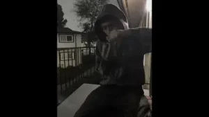 Gabri Bazen Fazla Geliyorlar Albüm Kapağı