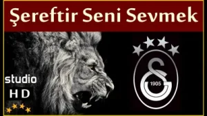 Galatasaray Marşları Şereftir Seni Sevmek Albüm Kapağı