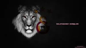 Galatasaray Marşları Zıpla Albüm Kapağı