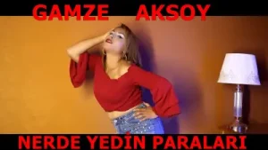 Gamze Aksoy – Nerde Yedin Paraları Söyle Albüm Kapağı