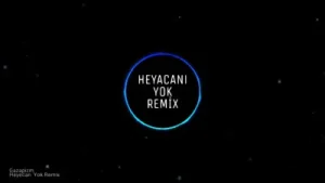 Gazapizm – Heyecanı Yok (Mehmet Tekin Remix) Albüm Kapağı