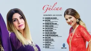 Geç Olur Albüm Kapağı