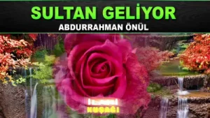 Geliyor Gönlümün Neşesi Sultan Geliyor İlahisi Boyuna Posuna Kurban Olduğum Albüm Kapağı