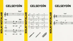Gelseydin Fon Müziği Bedava Albüm Kapağı