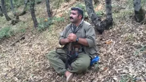 Gerilame Ez Albüm Kapağı