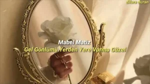 Git Diyemem Kal Diyemem Sen Goncasın Gül Diyemem