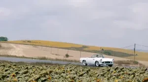 Gökçe Elginer Serseri Albüm Kapağı