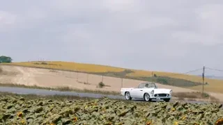 Gökçe Elginer Serseri