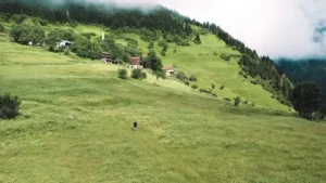 Gökhan Birben Oy Pusilum Video Klip Albüm Kapağı