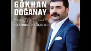 Gökhan Doğanay Diyarbakır Küçeleri