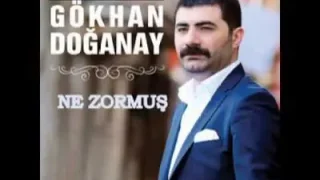 Gökhan Doğanay Ne Zormuş