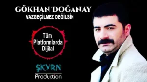 Gökhan Doğanay Vazgeçilmez Değilsin Albüm Kapağı