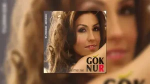 Göknur Onur Akşamlar