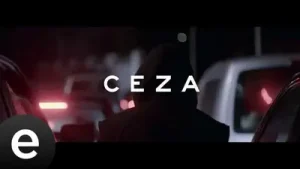 Göz Gözü Görmüyor Hep Pus Albüm Kapağı