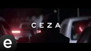 Göz Gözü Görmüyor Hep Pus