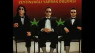 Grup Vitamin Tedirgin Sazan