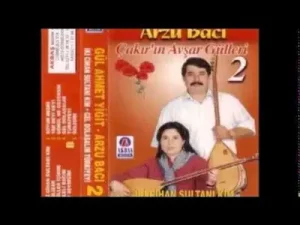 Gül Ahmet Yiğit Kızlara Zam Gelmeden Ever Beni Canım Anam Albüm Kapağı
