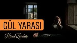 Gül Yarası Hiraizerdüş Albüm Kapağı