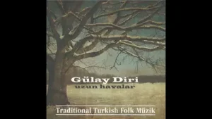 Gülay Diri Pencereden Kar Geliyor Albüm Kapağı