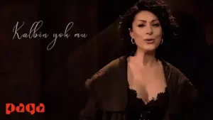 Gülay Kalbin Yok Mu Albüm Kapağı