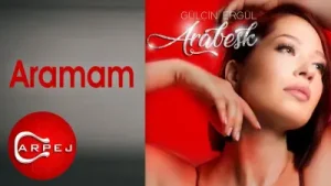 Gülçin Ergül Aramam