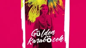 Gülden Karaböcek – Gönül Dağı Gel Gizli Gizli Albüm Kapağı