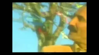 Güle Güle Git