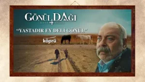 Güler Duman Yastadır Ey Deli Gönül Albüm Kapağı