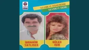 Güler Işık Saçımın Akına Bakma Albüm Kapağı