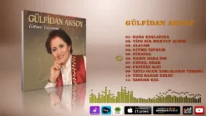 Gülfidan Aksoy Kaşın Kara İse Albüm Kapağı
