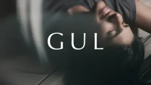 Gull Song Albüm Kapağı