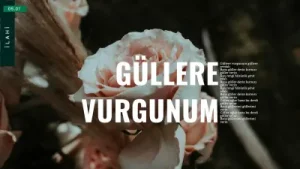 Güllere Vurgunum Albüm Kapağı