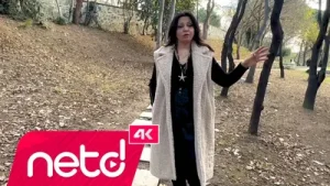 Gülnur Gürses Bir Garip Yolcuyum
