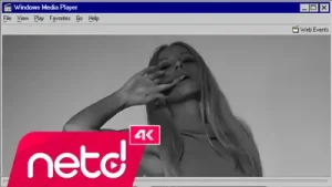 Gülşen & Faruk Sabancı Bal Remix Albüm Kapağı