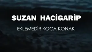 Gültekin Aslan Eklemedir Koca Kocak Albüm Kapağı