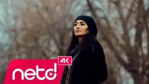 Gurbet Boyraz Hallerim Nice Albüm Kapağı