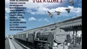 Gurbet Türküleri Ağlama Gözlerim Özlem Bülbül Albüm Kapağı