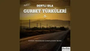 Gurbet Türküleri Dön Artık Köyüne Cemal Teoman Albüm Kapağı