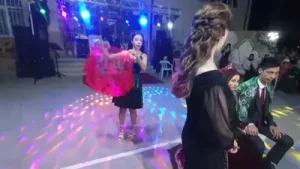 Güzel Kızımın Duvak Dansı Albüm Kapağı