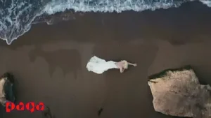 Hadise Feryat Albüm Kapağı