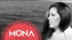 Hadiye Ölmez Vatana Dönmek Acı Albüm Kapağı