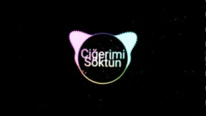 Hakan Yavaş Ciğerimi Soktun Albüm Kapağı